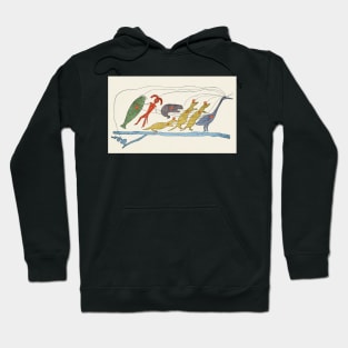 Ojibwe Native American petition, 1849 (C003/2015) Hoodie